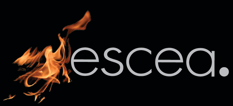 Escea Gas Fires